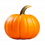 Pumpkin Yellow Per Kg